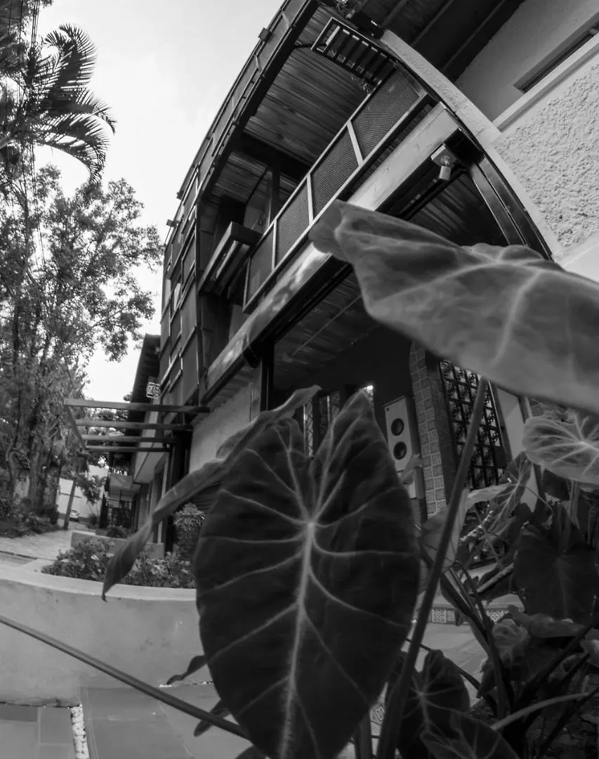 Nativo Hostel Medellin Colombia